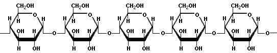 Amylose Molecule