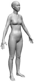 BMI 18.5 - 最低正常