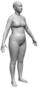 BMI 24.9 - 最高正常