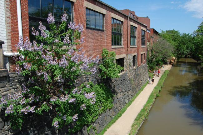 Chesapeake and Ohio Canal