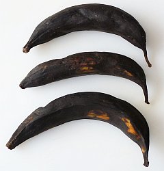 Plantains
