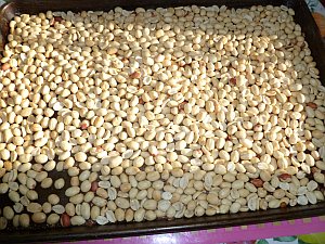 skinned peanuts