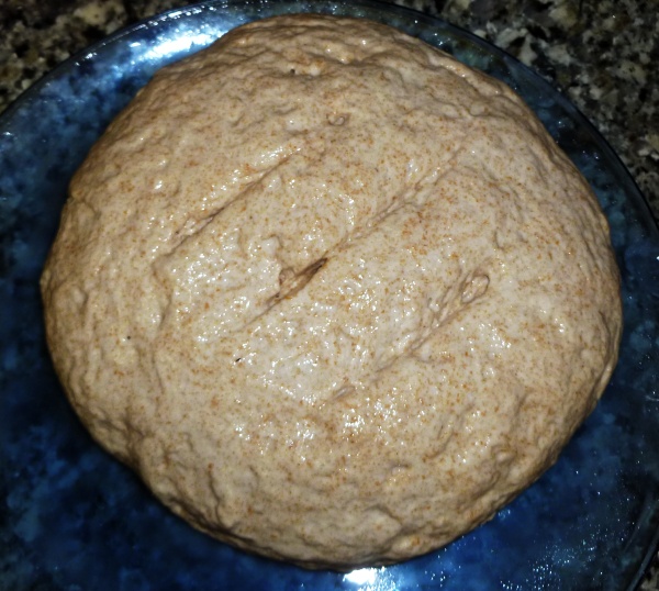 Shaping the Sourdough