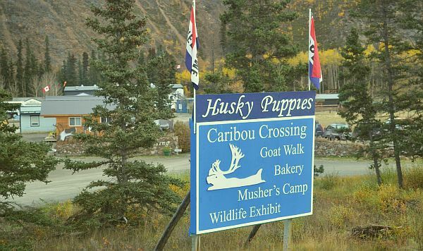 Caribou Crossing, Canada
