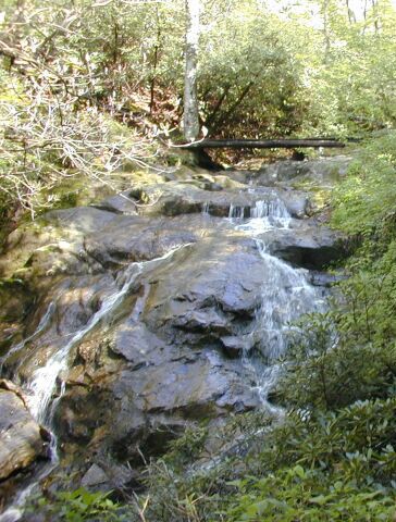 Hiking Trails in Blowing Rock, North Carolina