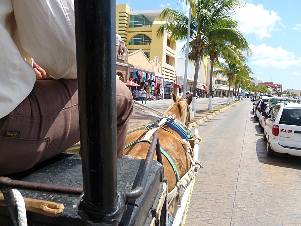 Touring Cozumel on a horse buggy