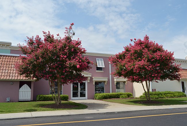 Myrtles in Myrtle Beach