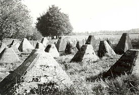 Siegfried Line Pillars