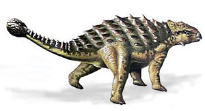 ankylosaurus