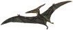 Los pterosaurios existieron desde el Triásico superior hasta el final del período Cretácico.