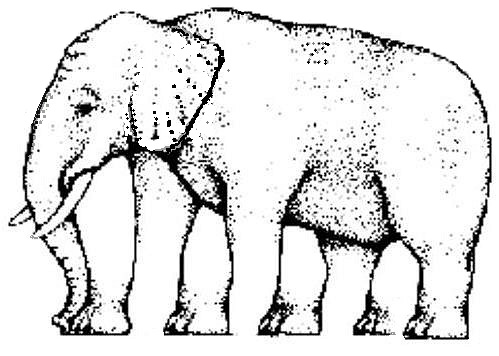 Elephant optical illusion.  Coloring project for children.