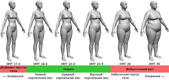 Индекс массы тела для женщин