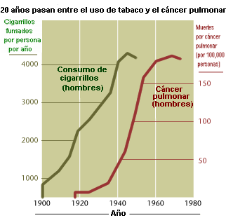 Correlación entre las muertes por cáncer y el tabaquismo