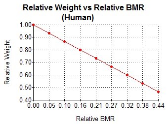 Relative Weight vs Relative BMR