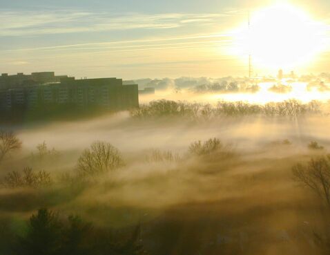 Foggy Morning - Dec. 1, 2001