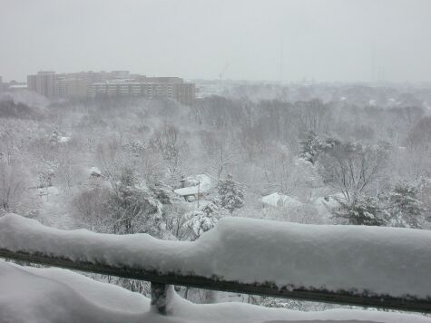 Snowy day - Jan. 12, 2006