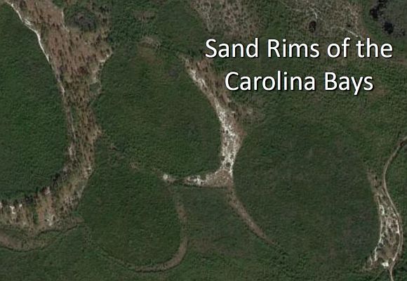 Sand Rims of the Carolina Bays