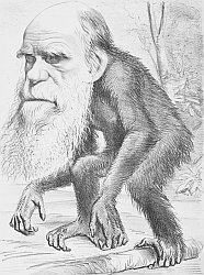 Darwin cartoon